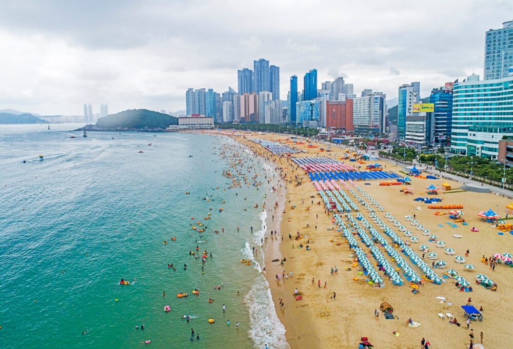 Busan Weather Guide — Best Time to Visit from Haeundae to Nampo-dong